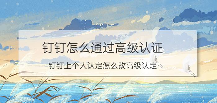 钉钉怎么通过高级认证 钉钉上个人认定怎么改高级认定？